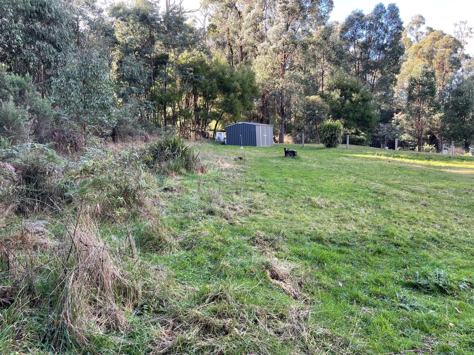 63 Silver Parrot Road Flowerdale VIC, Flowerdale - Thumbnail 2