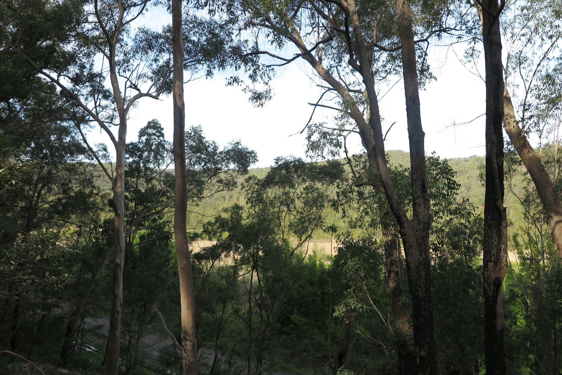 Real Estate For Sale 171 bs Creek Road bs Creek , NSW