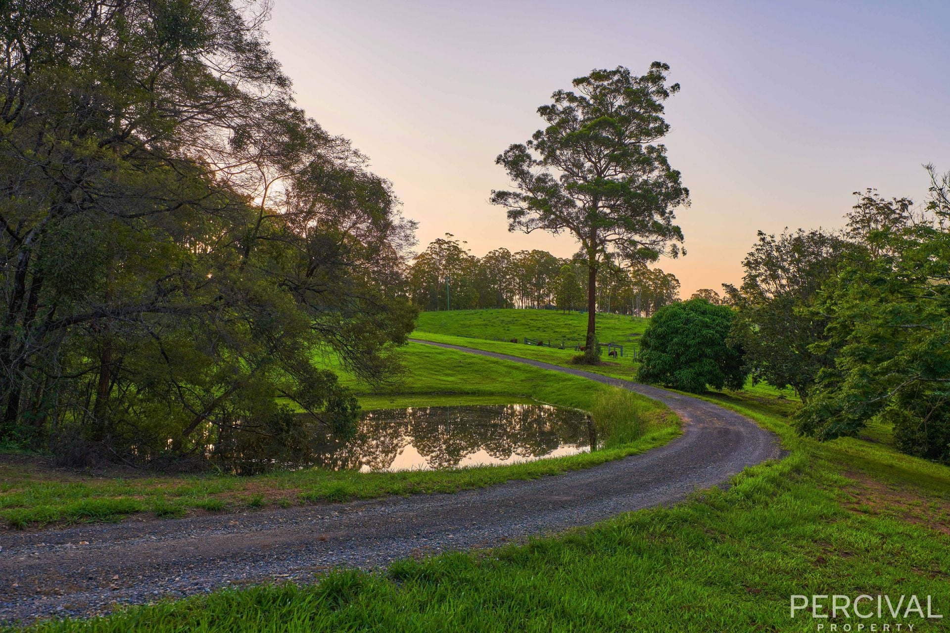 84 Orara Lane Mortons Creek NSW, Mortons Creek - Thumbnail 4