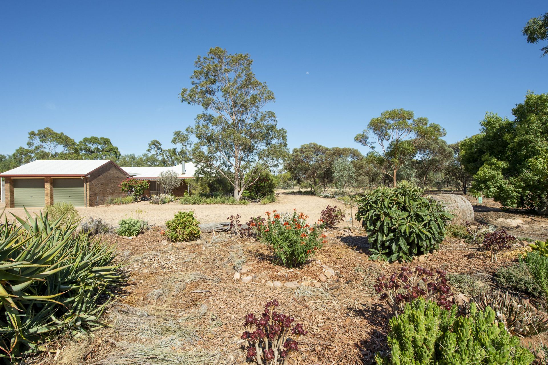 47 Scenic Drive, Napperby Blights Real Estate