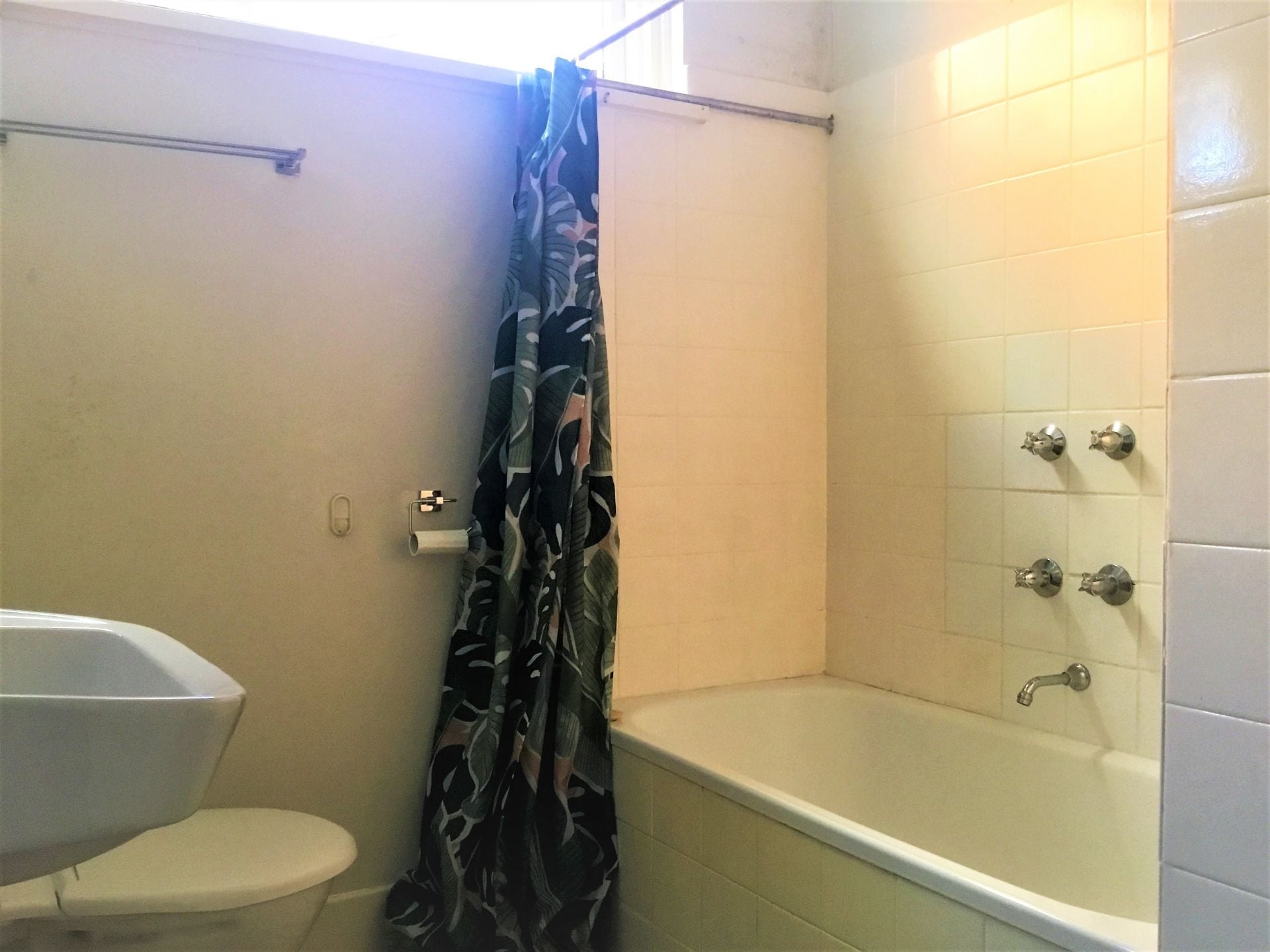Renovated with an Abundance of Natural Light