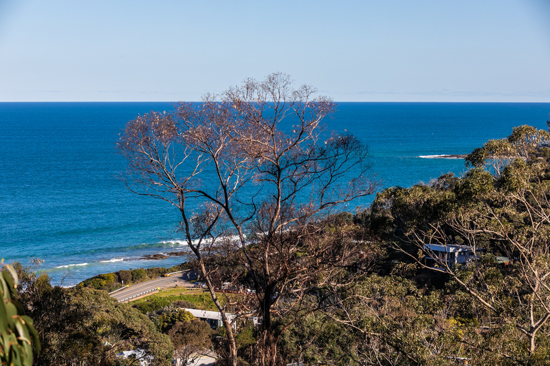 16 Bass Avenue SEPARATION CREEK VIC, Separation Creek - Thumbnail 4