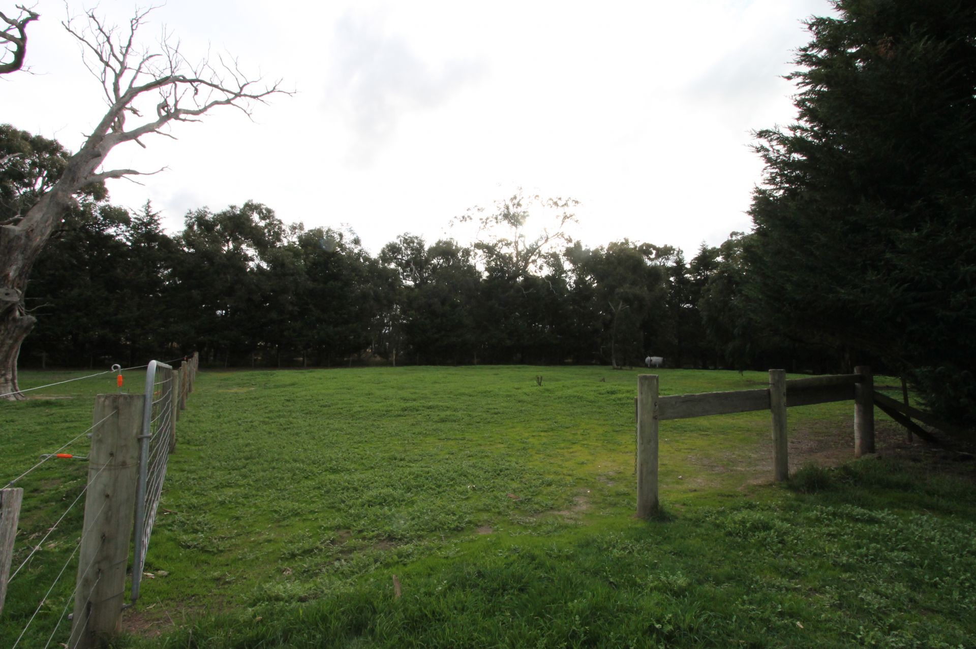 RARE LEASING OPPORTUNITY - 20 ACRES - 8.09 ha