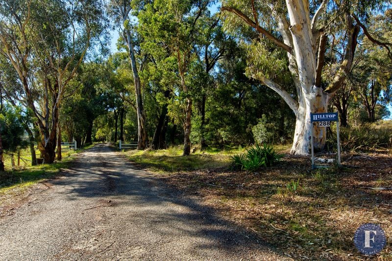 288 Cemetery Drive, Rye Park NSW, Rye Park - Thumbnail 3