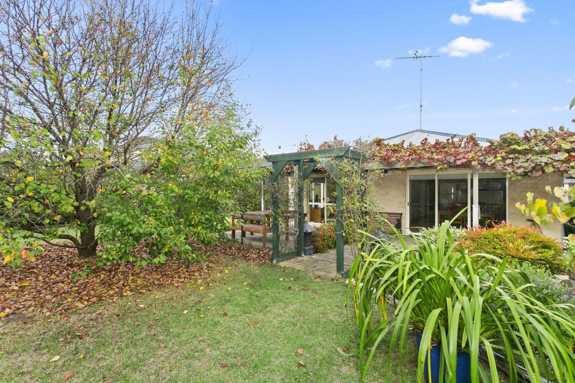 20 Glyndon Court Barwon Heads VIC, Barwon Heads - Thumbnail 5
