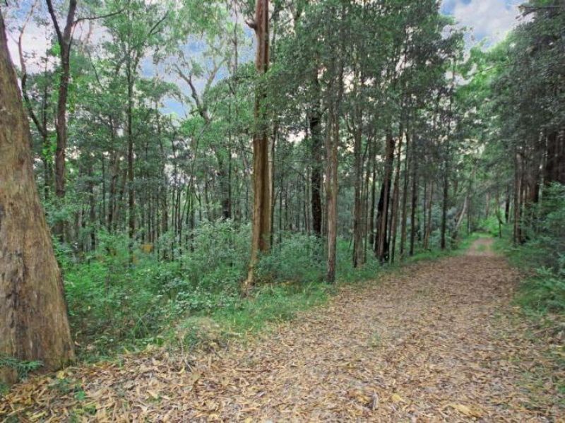 1141 Bells Line Of Road, Kurrajong Heights - Thumbnail 2
