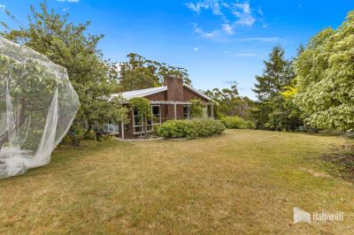 4
 
 
 
  
 
 
 3
 
 
 
  
 
 
 2
 
 
 
 
 
 
 
 4 Park Drive, Ambleside TAS 7310, Ambleside - Thumbnail 8