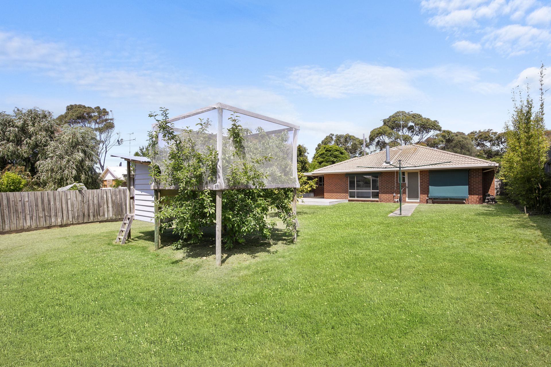 9 Minifie Avenue, Anglesea - Thumbnail 4
