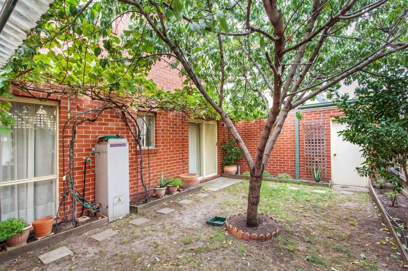 3/695 Barkly Street