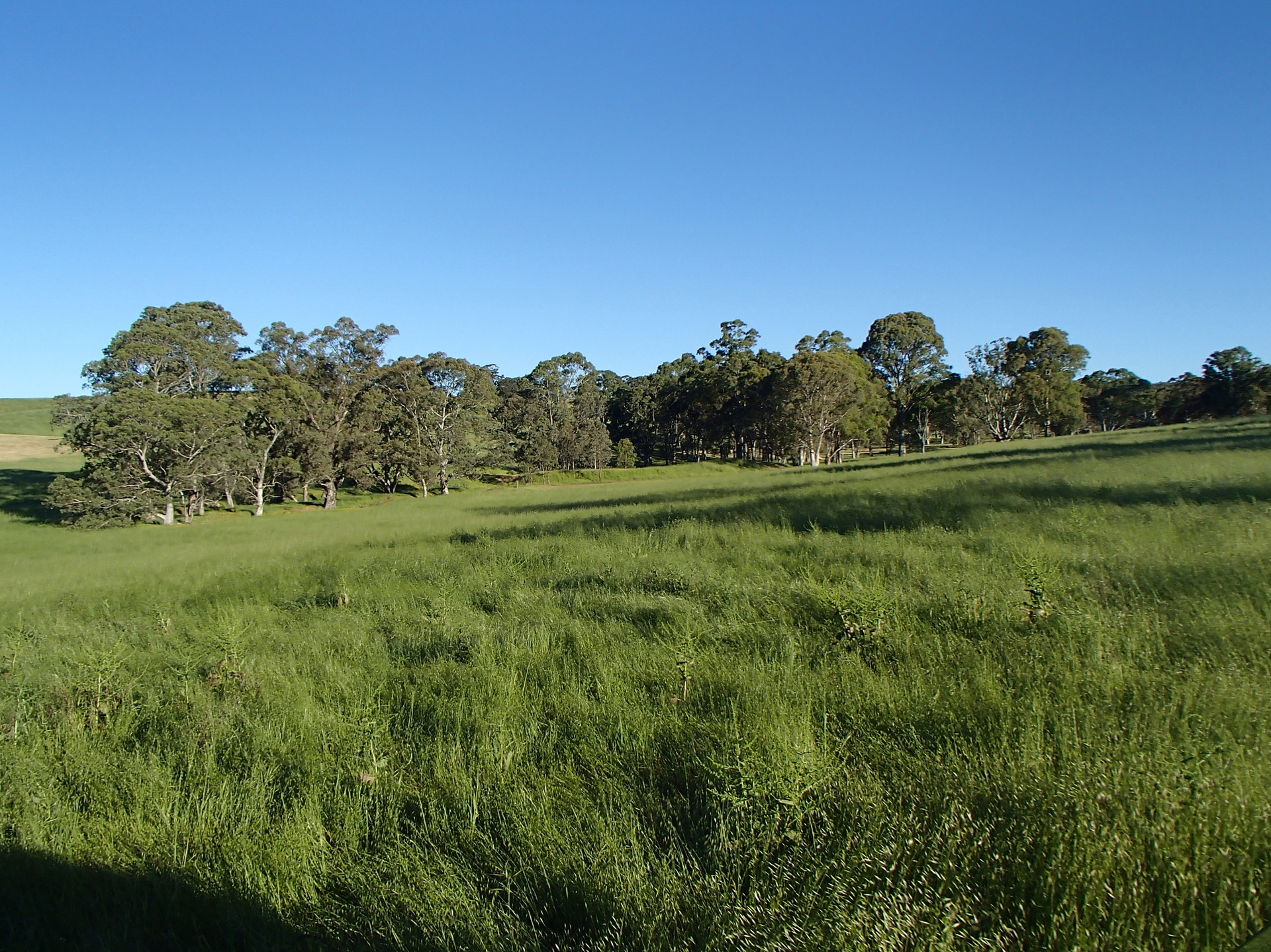Allot 23 Woodlands Road, COCKATOO VALLEY, SA, 5351 Land buyMyplace