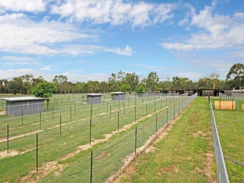 LONDONDERRY, NSW, Londonderry - Thumbnail 3