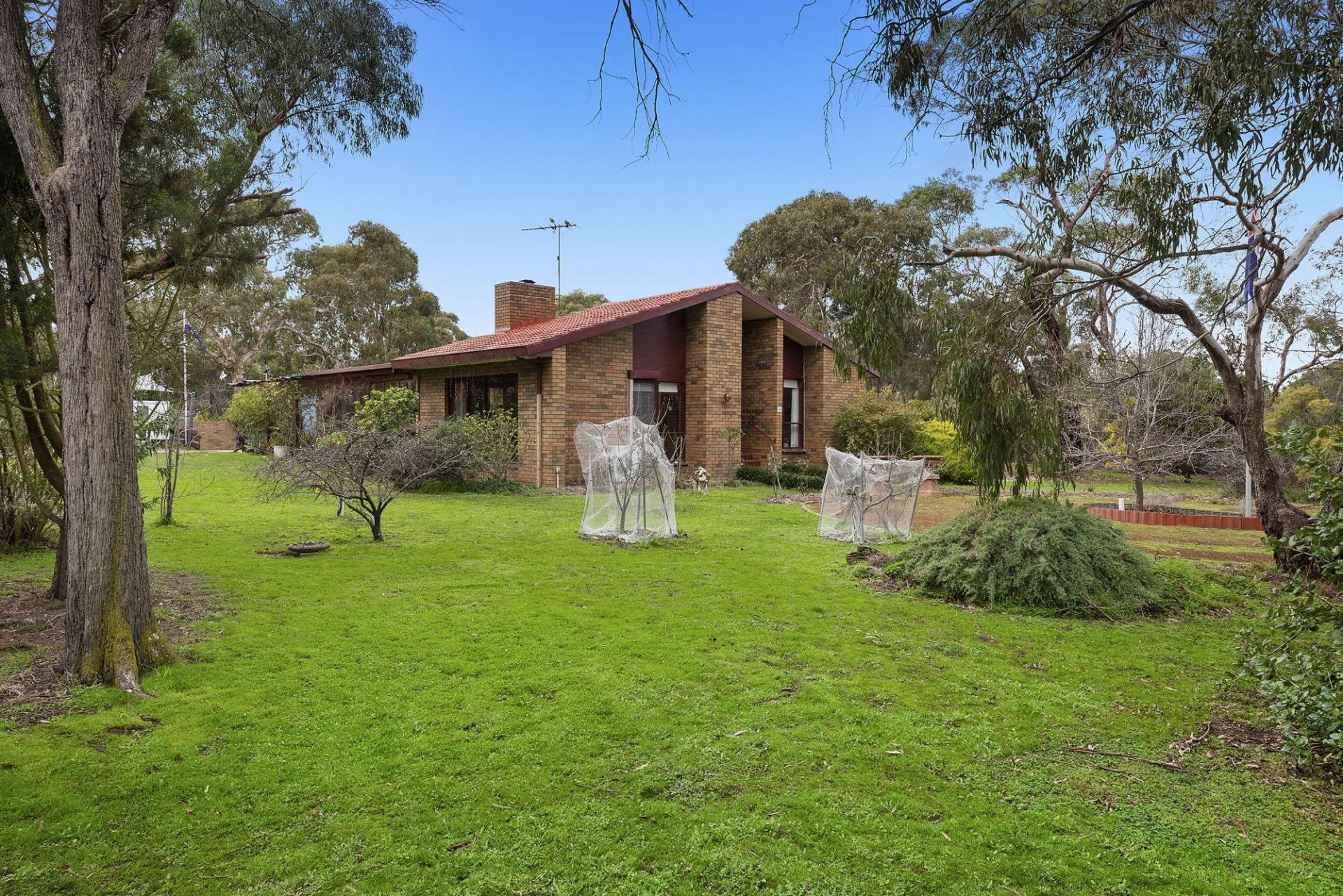Bellarine Property