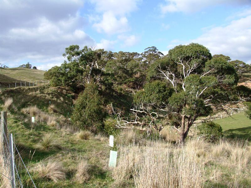 529 Swans Road, Bacchus Marsh - Thumbnail 8