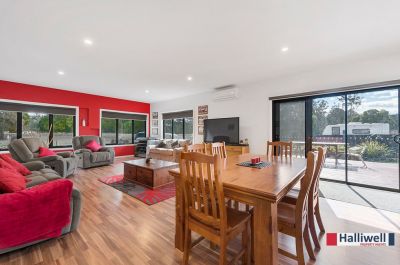 3
 
 
 
  
 
 
 2
 
 
 
 
 
 
 
 
 37 Native Rock Road, Railton TAS 7305, Railton - Thumbnail 7