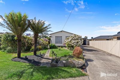 64 Wilmot Street, Port Sorell, Port Sorell - Thumbnail 3