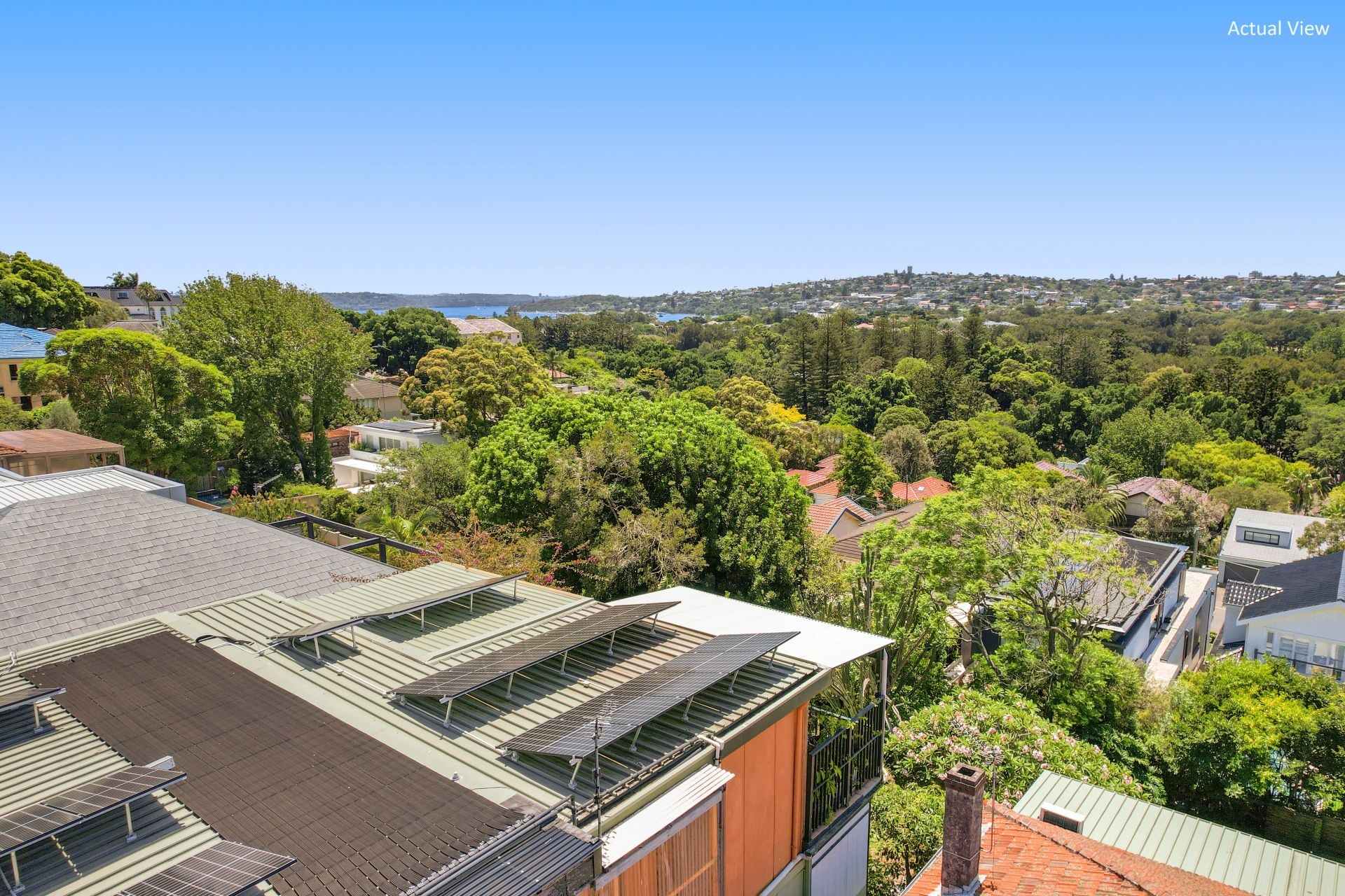 17 Bunyula Road, Bellevue Hill, Bellevue Hill - Thumbnail 8