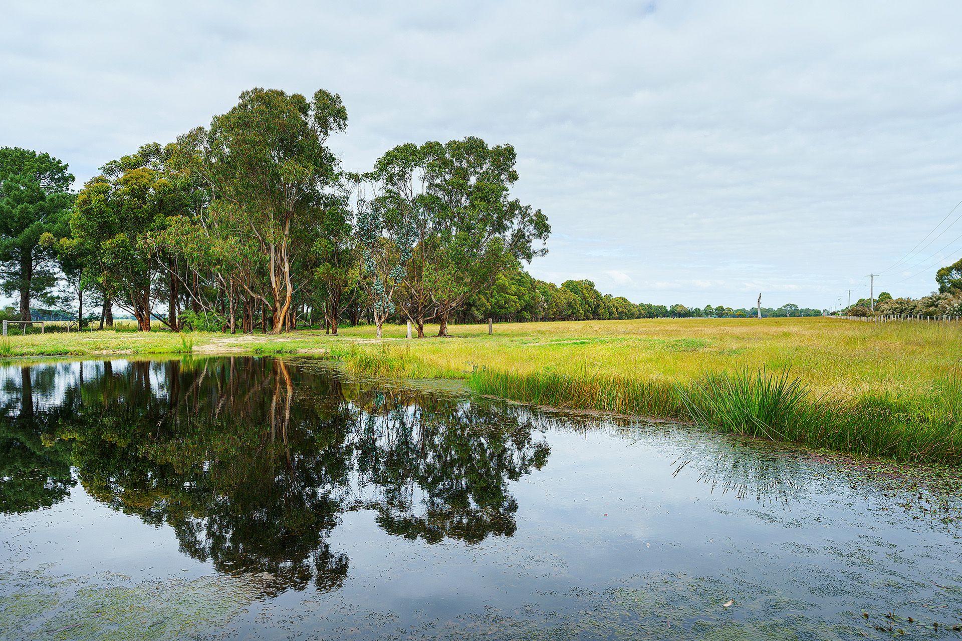 Lot 2/ Princes Highway, Lucknow VIC 3875