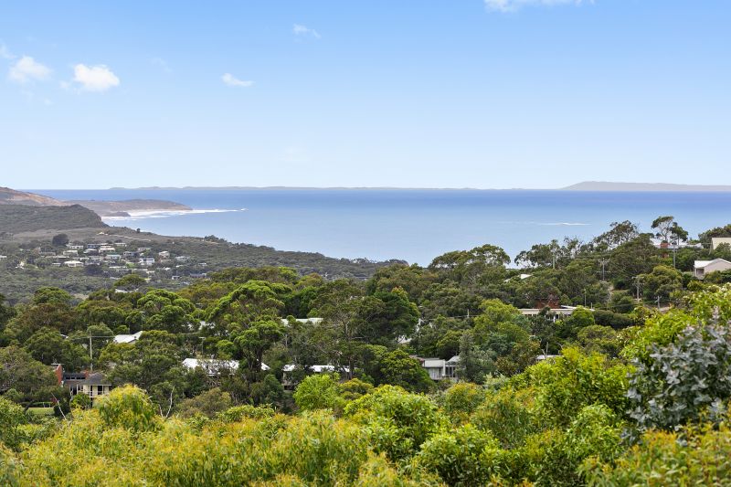 17 Pickworth Drive, Anglesea, VIC, Anglesea - Thumbnail 5
