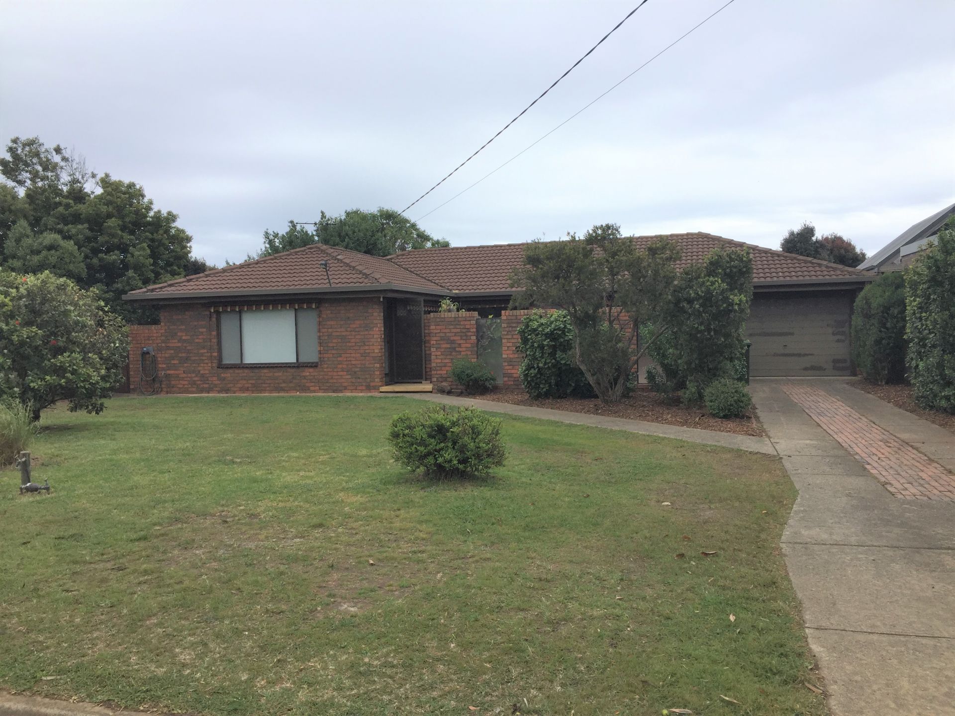 Real Estate For Lease 52 Draper Street Ocean Grove Vic