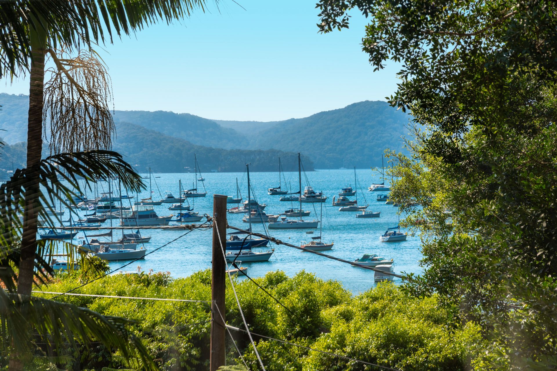 107 Prince Alfred Parade Newport NSW 2106, Newport - Thumbnail 4
