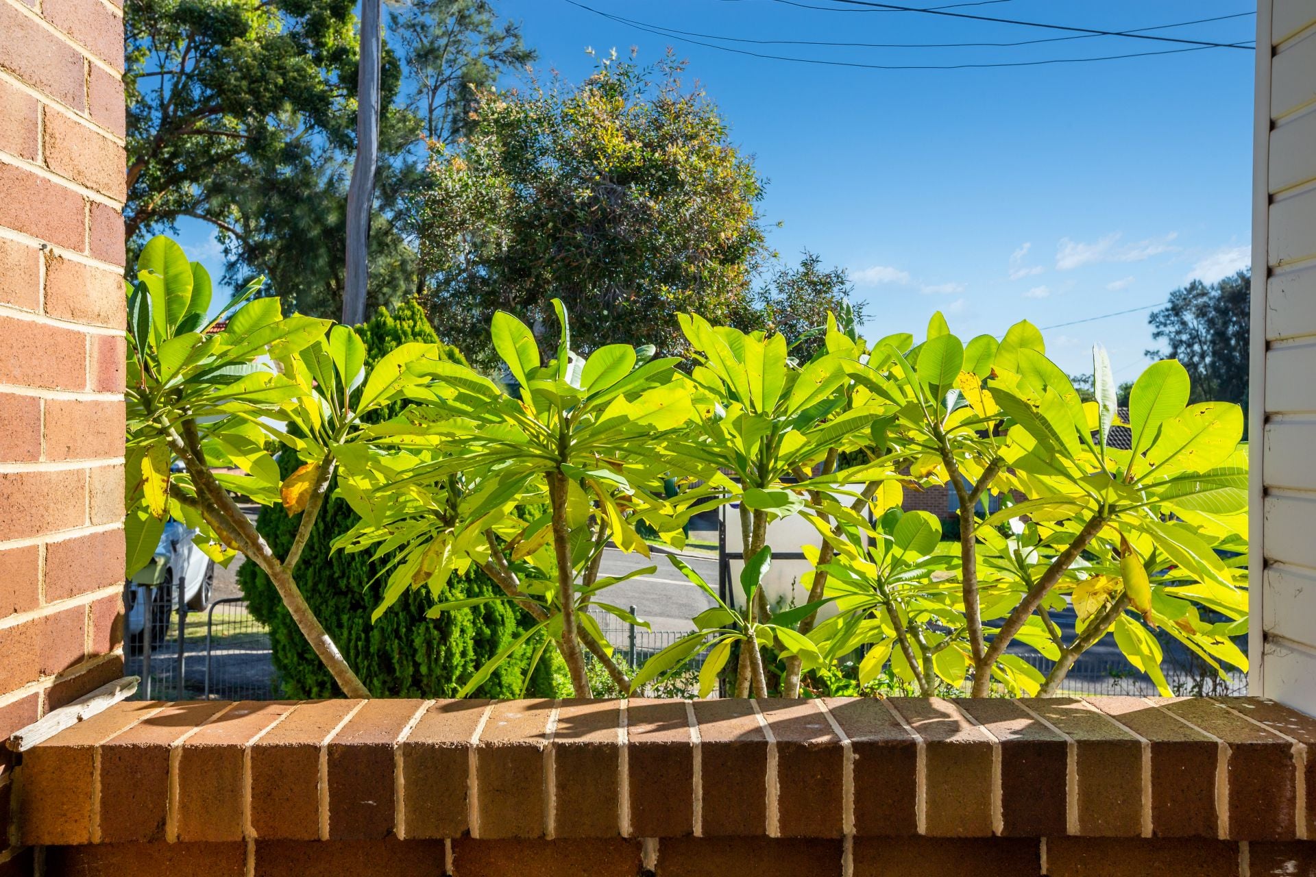 53 Sarsfield Street Blacktown NSW, Blacktown - Thumbnail 7