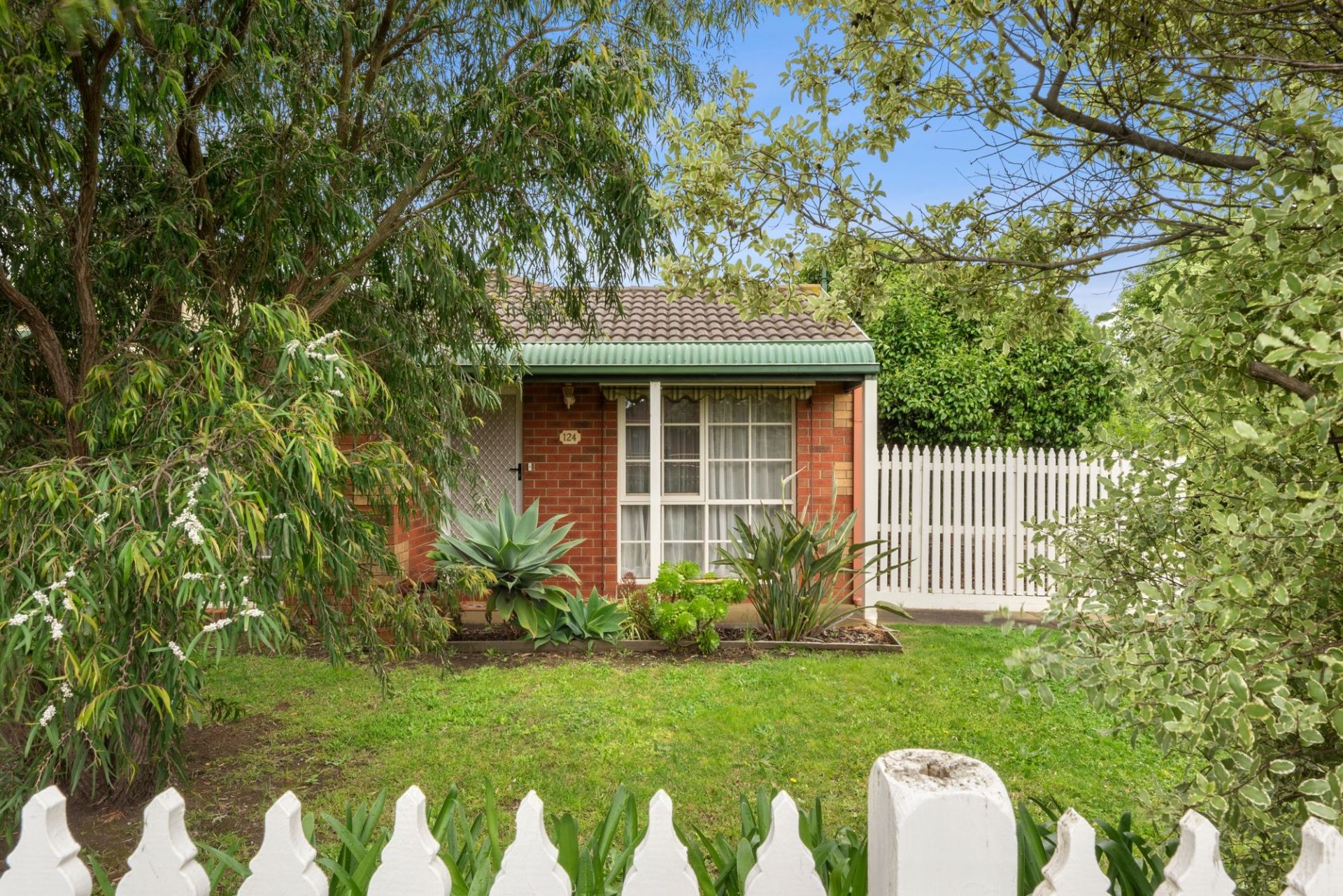 124 John Dory Drive Ocean Grove VIC, Ocean Grove - Thumbnail 4