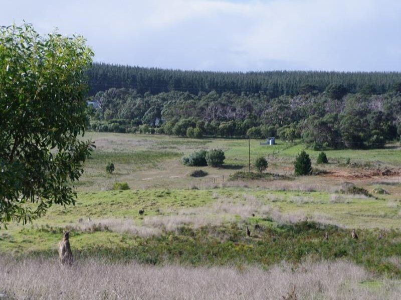 Lot 821 Rocky Camp Millicent SA, Lot 821 Rocky Camp Millicent - Thumbnail 2