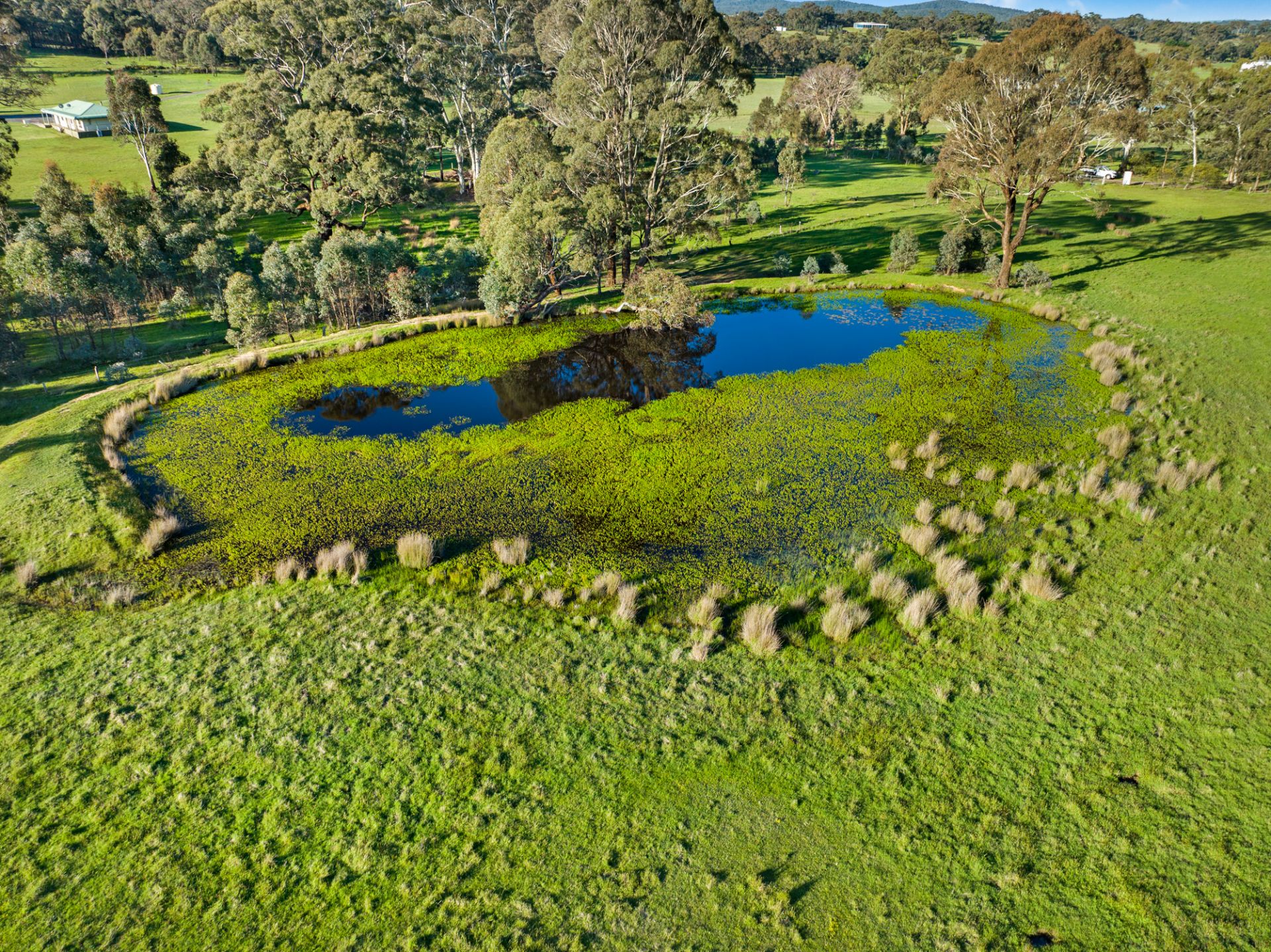 4/ Nothnagel Lane, Beaufort, Beaufort, Beaufort - Thumbnail 7
