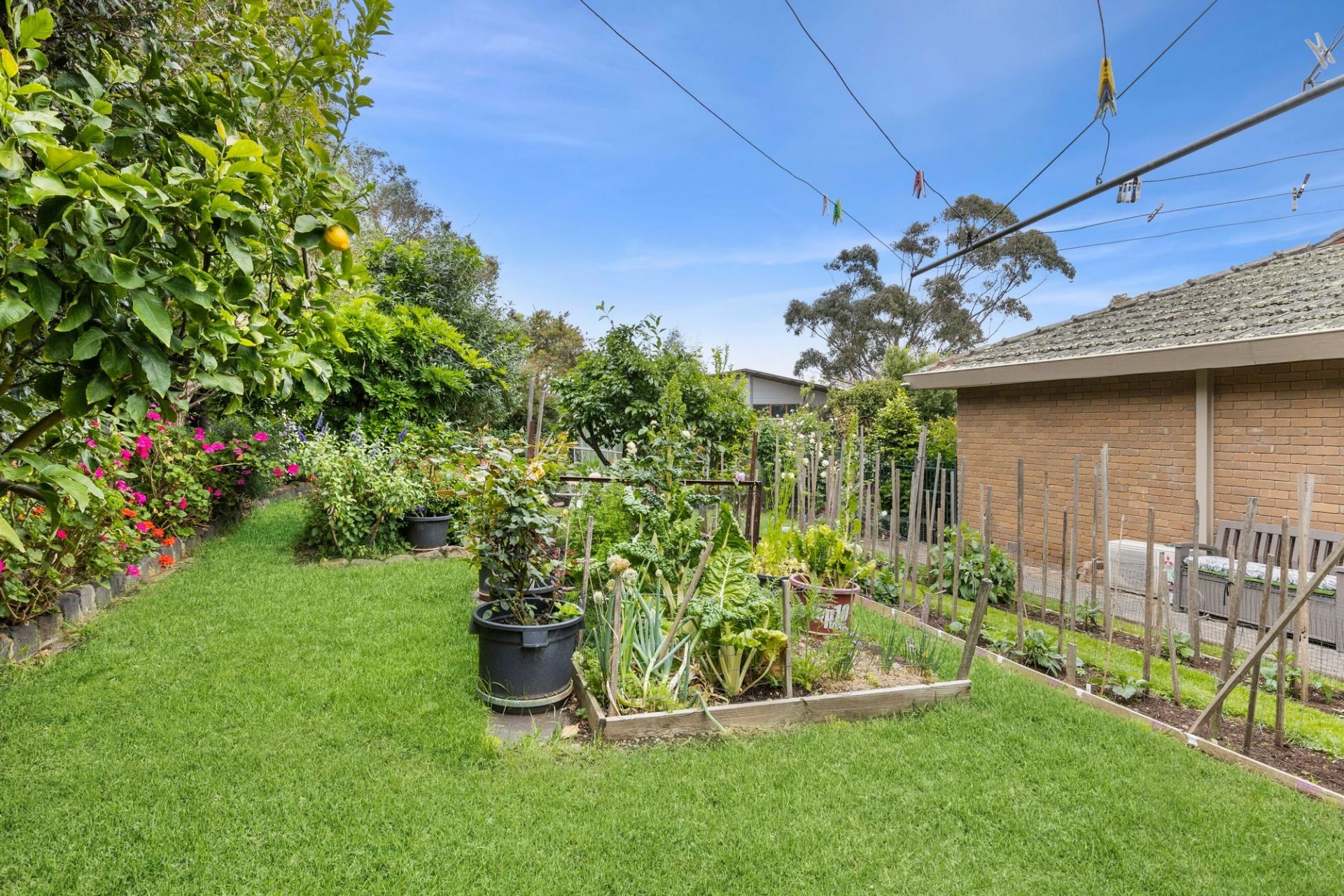 41 Fraser Crescent Ocean Grove VIC, Ocean Grove - Thumbnail 3