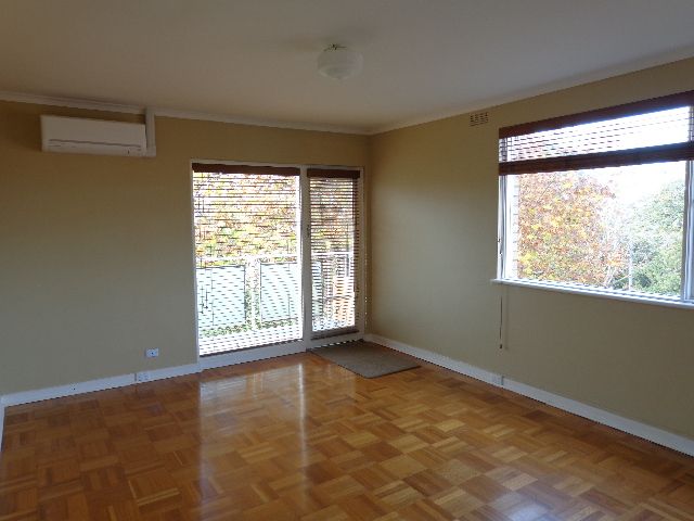 **Spacious and sunny**