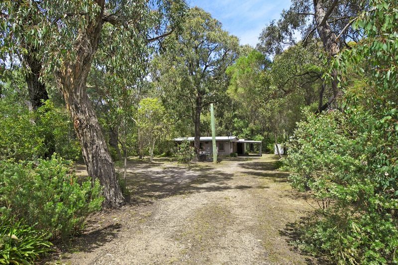 Real Estate For Sale 31 Hopkins Street Aireys Inlet Vic