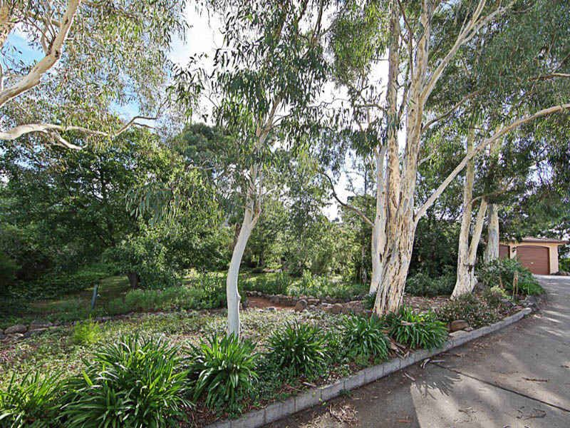 32 Monkman Street, Chapman - Thumbnail 3