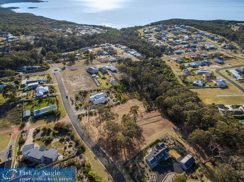 12 Kangaroo Tura Beach NSW, 12 Kangaroo Tura Beach - Thumbnail 5