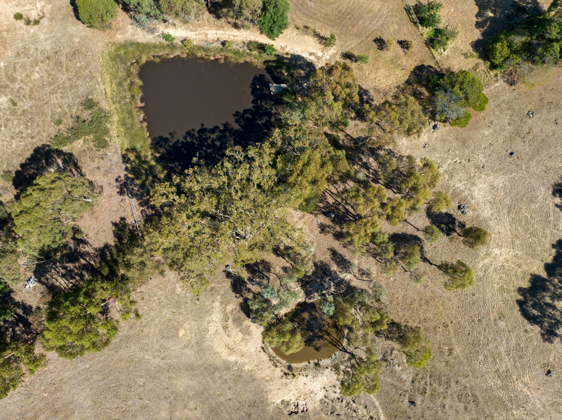 1/ Clunes-Evansford Road Evansford VIC, Evansford - Thumbnail 2