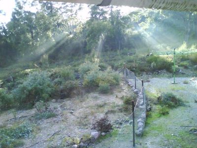 3
 
 
 
  
 
 
 1
 
 
 
  
 
 
 3
 
 
 
 
 
 
 
 1113 Claude Road, SHEFFIELD TAS 7306, Sheffield - Thumbnail 8