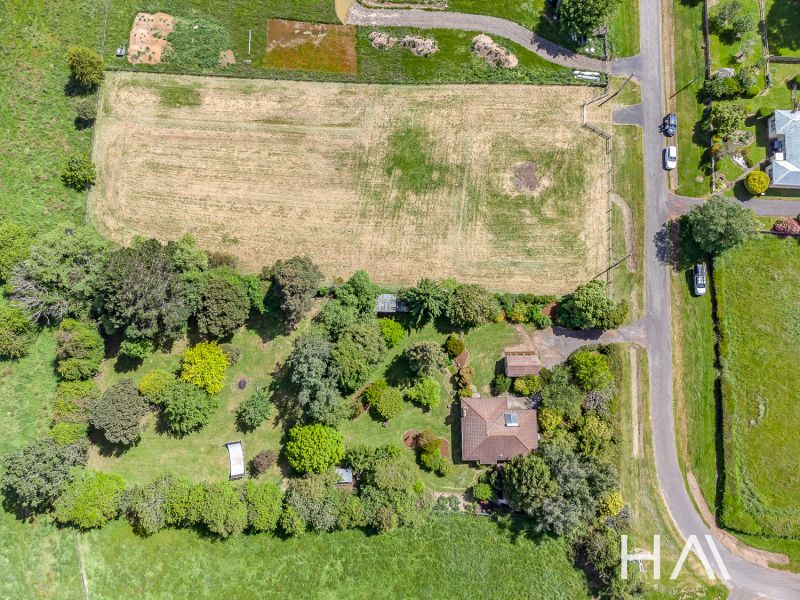 24 Arthur Street Westbury, Westbury - Image 1