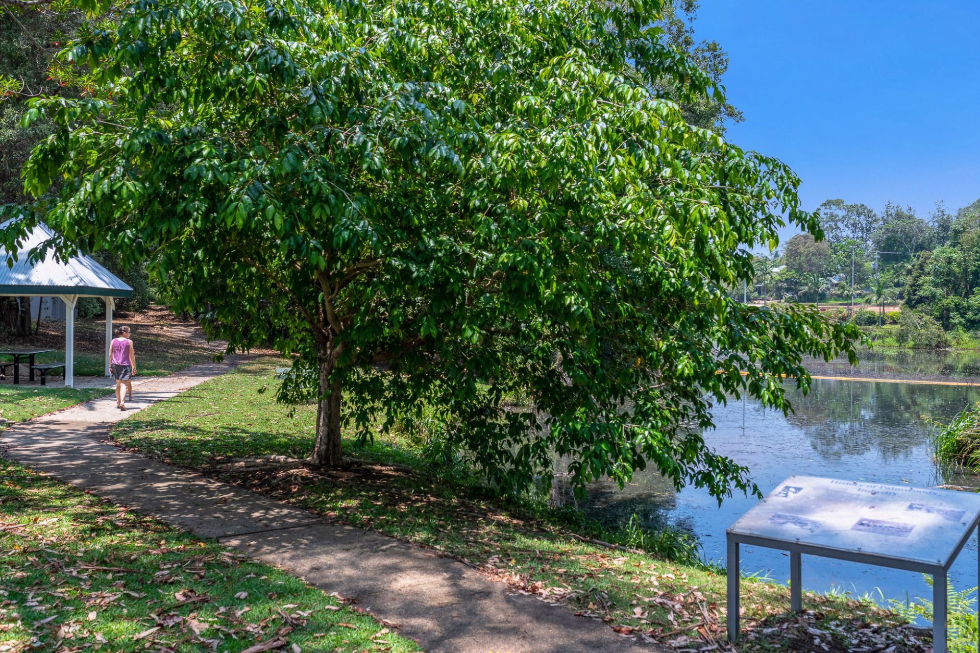 43/31 Abbotts Road Palmwoods QLD, Palmwoods - Thumbnail 8