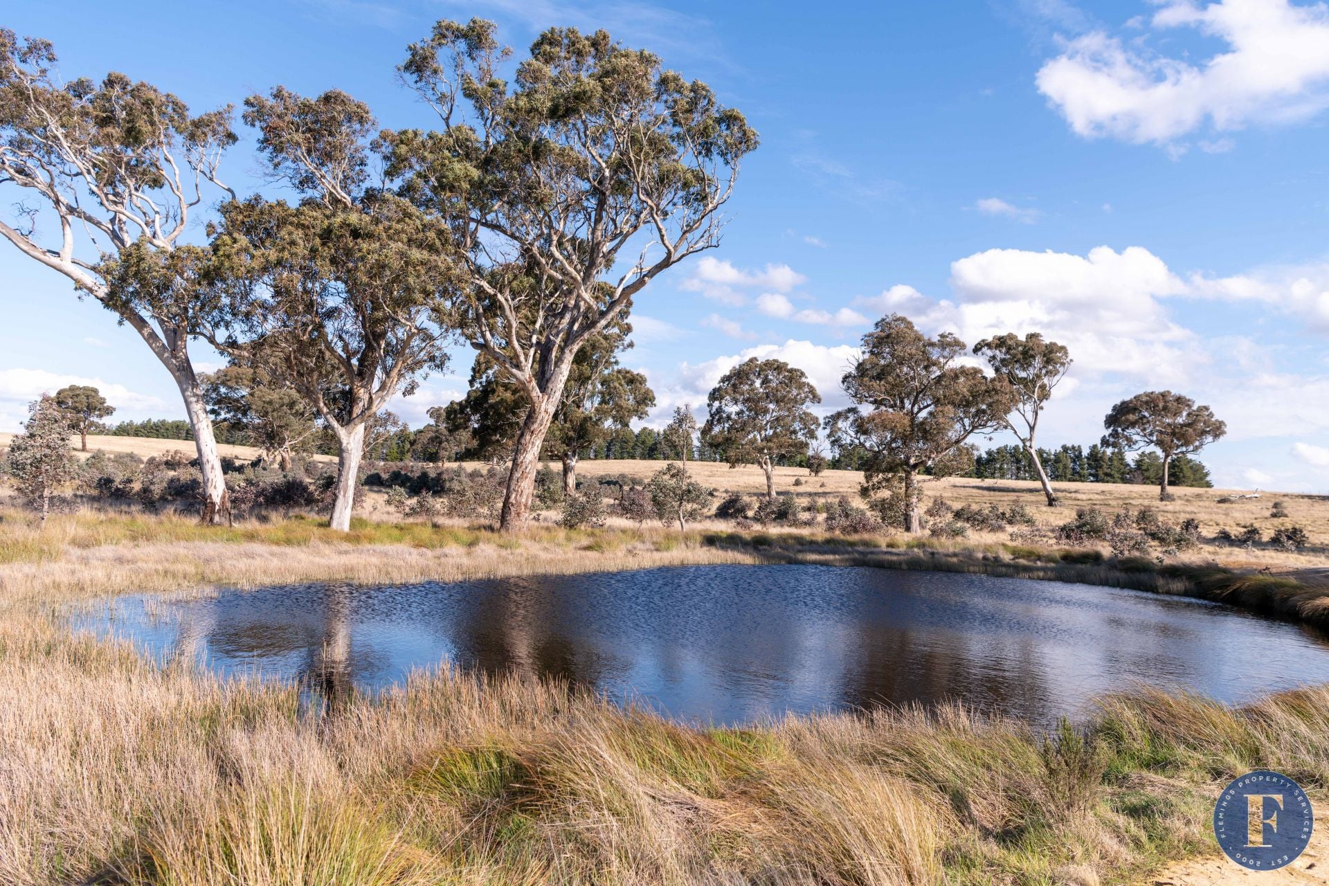 Lot 201, 2 Berrebangelo Road, Bellmount Forest NSW, 2 Berrebangelo Road, Bellmount Forest - Thumbnail 2