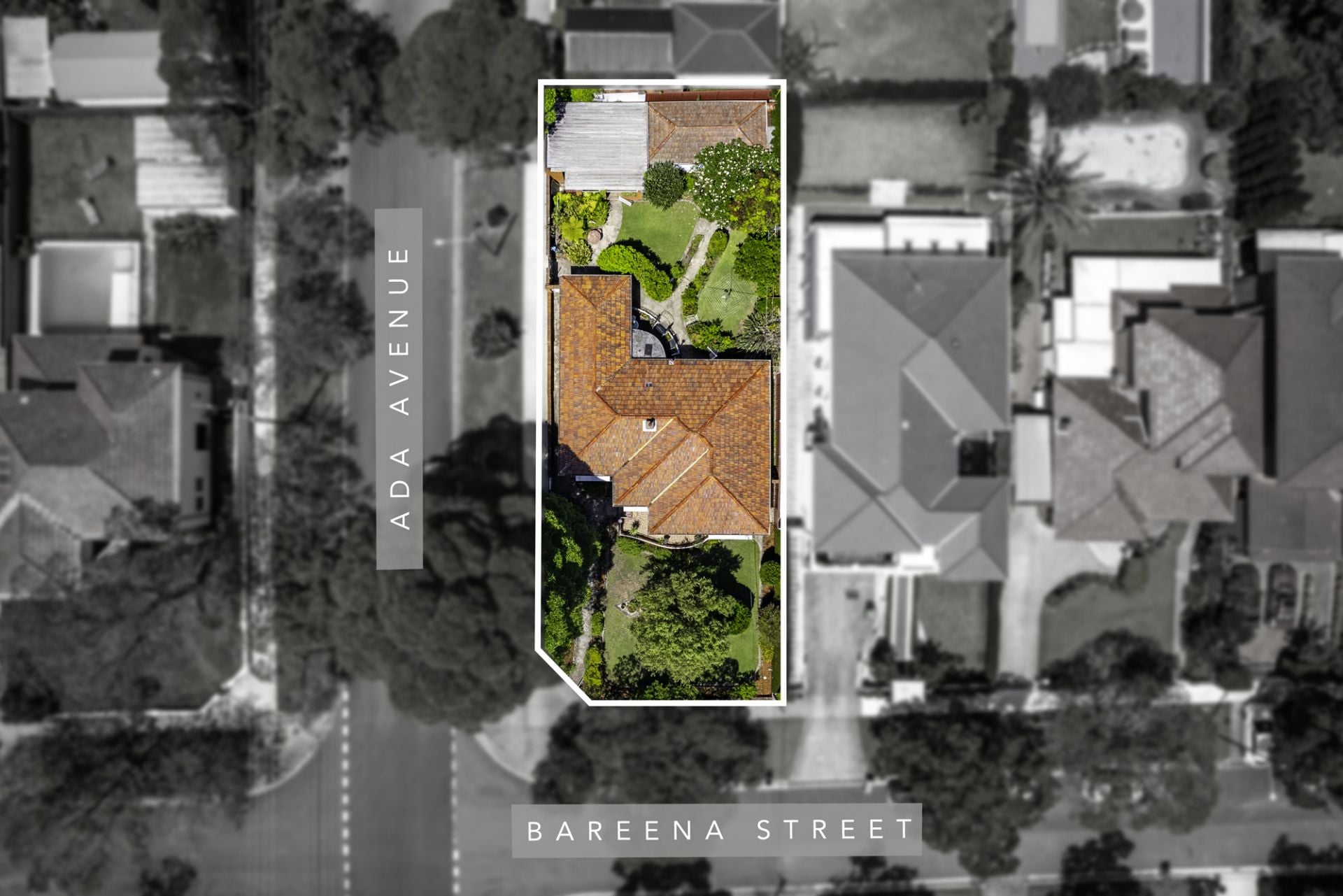 36 Bareena Street, Strathfield, Strathfield - Thumbnail 2