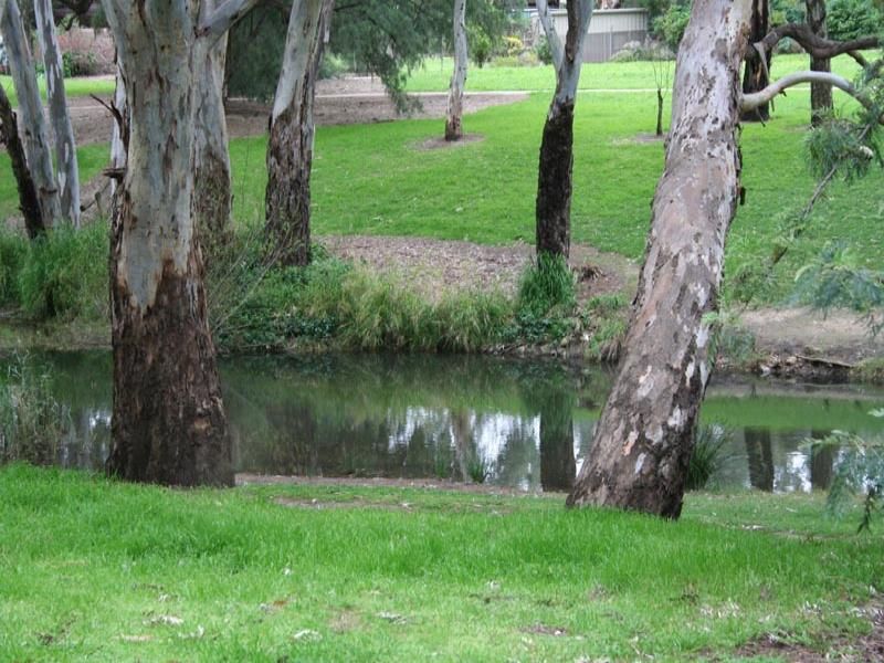 Real Estate For Sale Paradise , SA