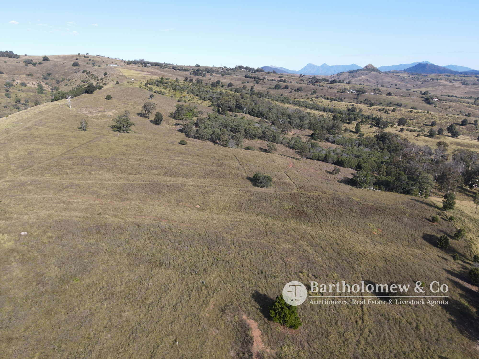 Real Estate For Sale Lot 288 SCHLIEFF ROAD Allandale , QLD