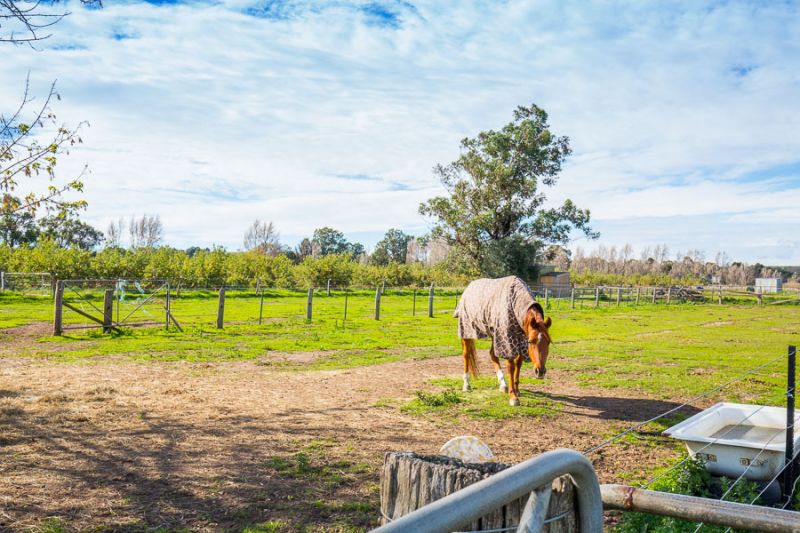 Lot 1 Leila Court, Bacchus Marsh - Thumbnail 5