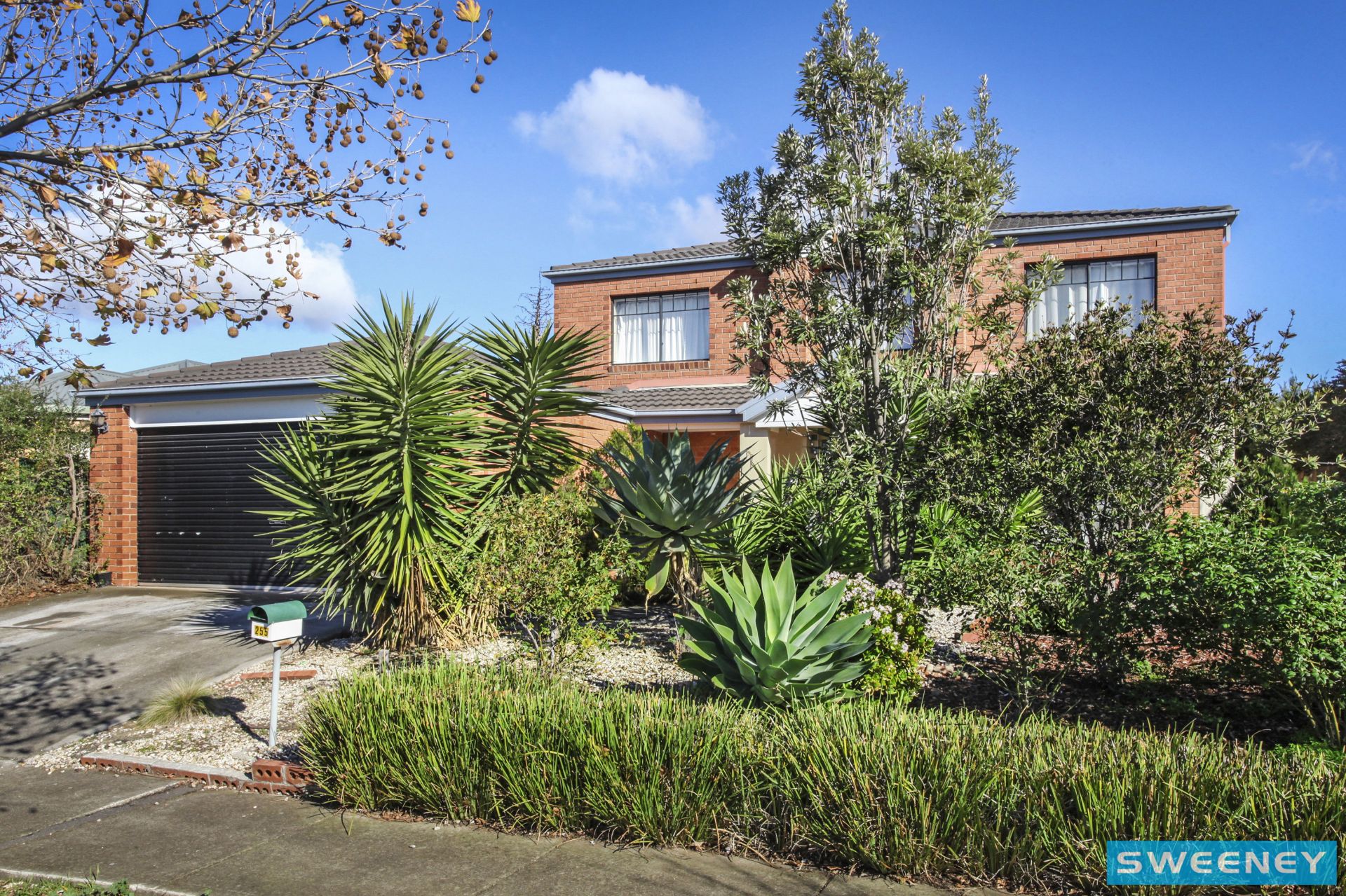 255 Westwood Drive, Burnside - Thumbnail 3