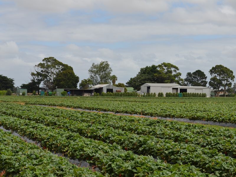 200 McDonalds Road Catani