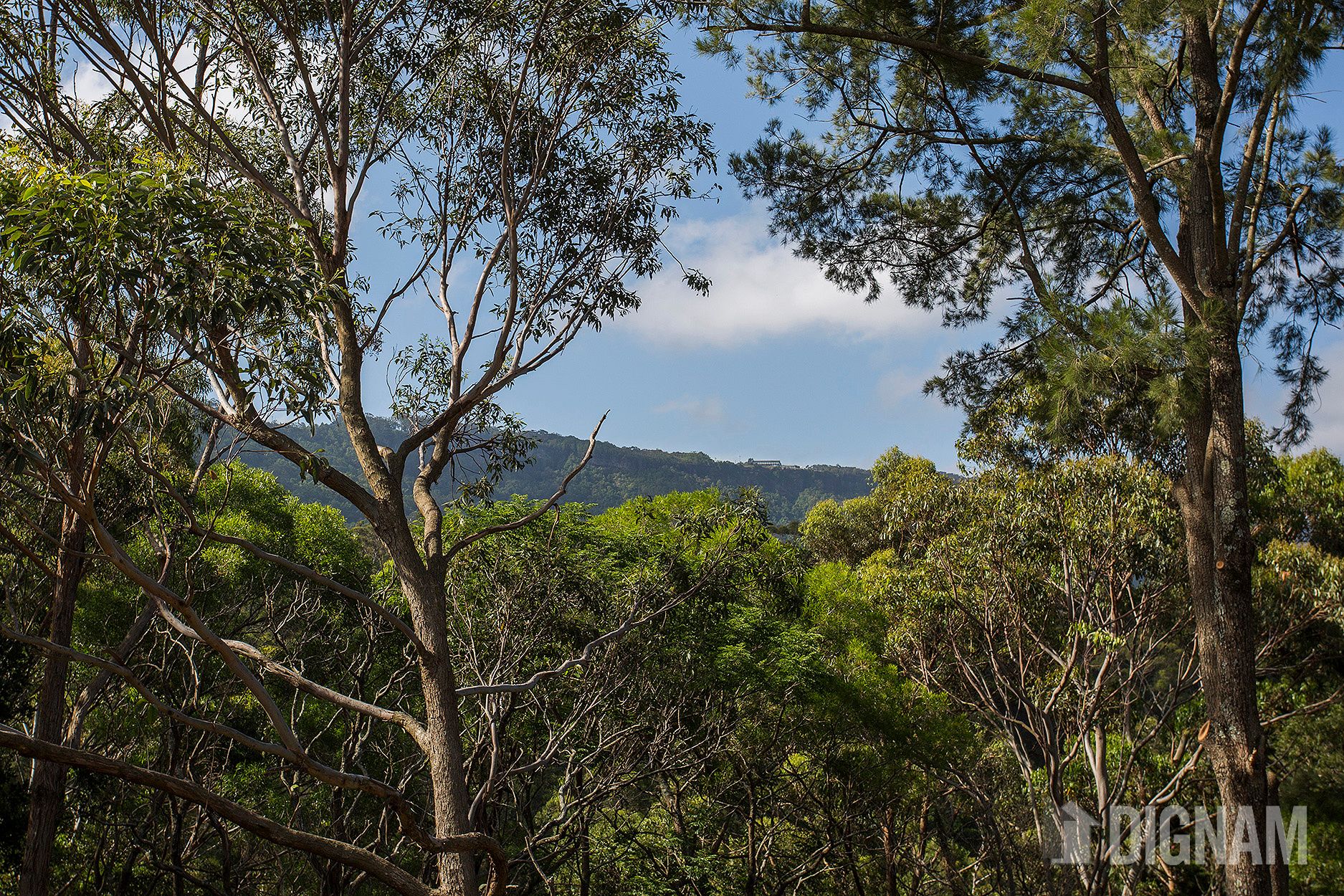 36 George Avenue, Bulli NSW