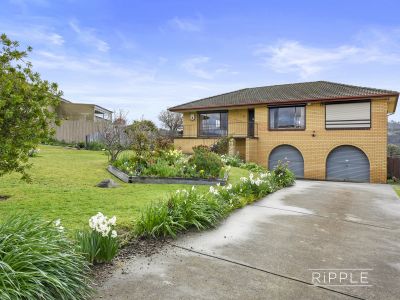 Fantastic family home