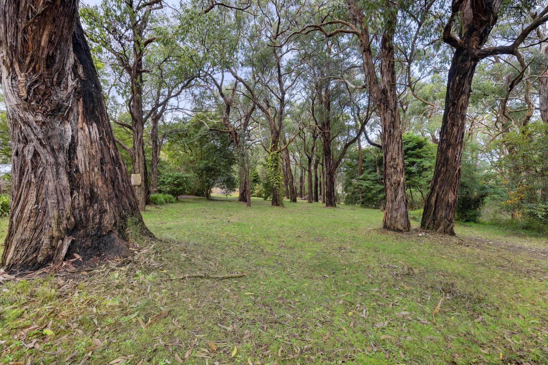 Kay & Burton 63 Red Hill Road, Red Hill South