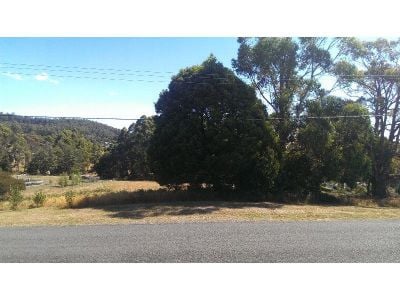 116 Grandview Drive, SOUTH SPREYTON, South Spreyton - Thumbnail 5