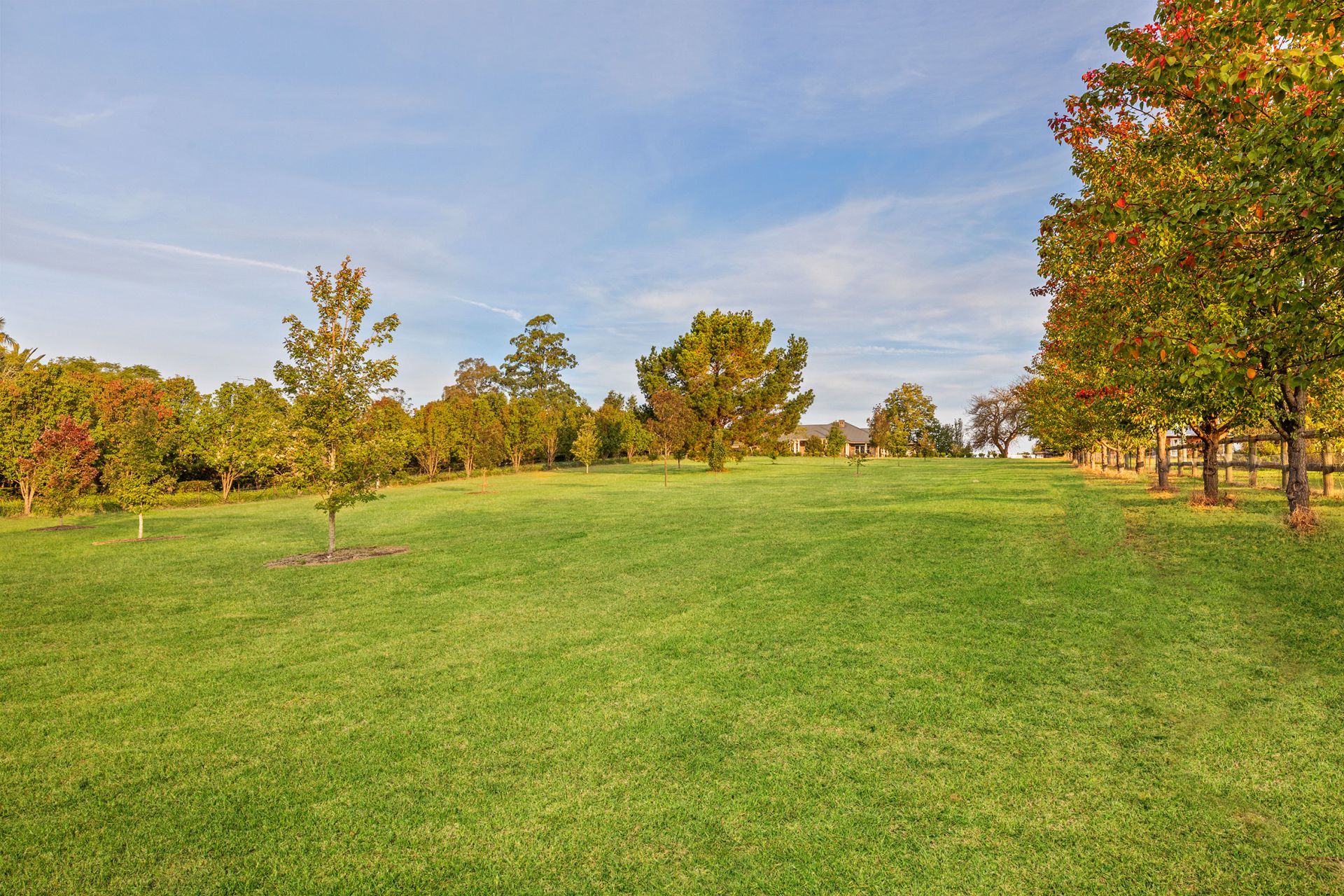 42 Cairnes Road Glenorie NSW, Glenorie - Thumbnail 4