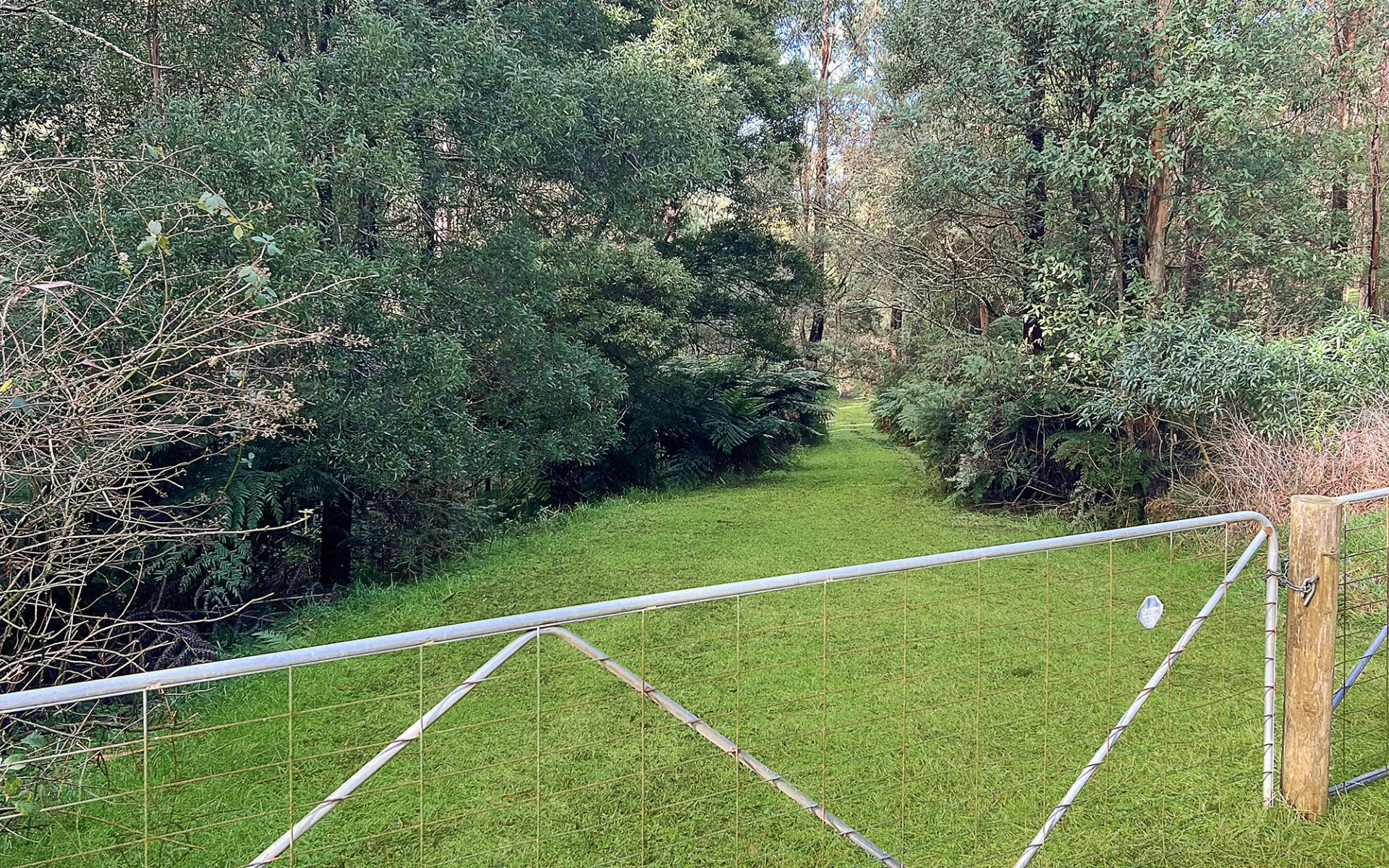 Lot 2/56-58 Broughtons Access, Skenes Creek North - Thumbnail 4